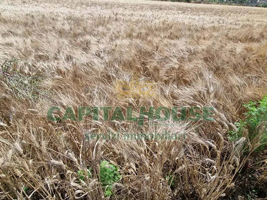 Immagine 7 di Terreno agricolo in vendita  a Capodrise