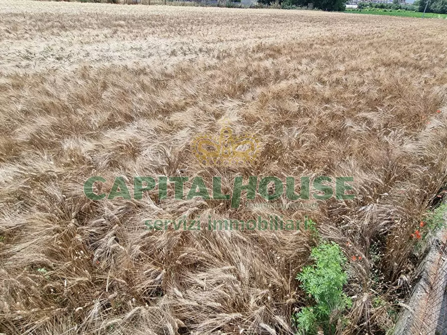 Immagine 8 di Terreno agricolo in vendita  a Capodrise