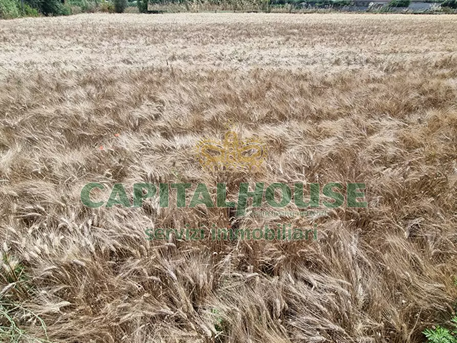 Immagine 9 di Terreno agricolo in vendita  a Capodrise