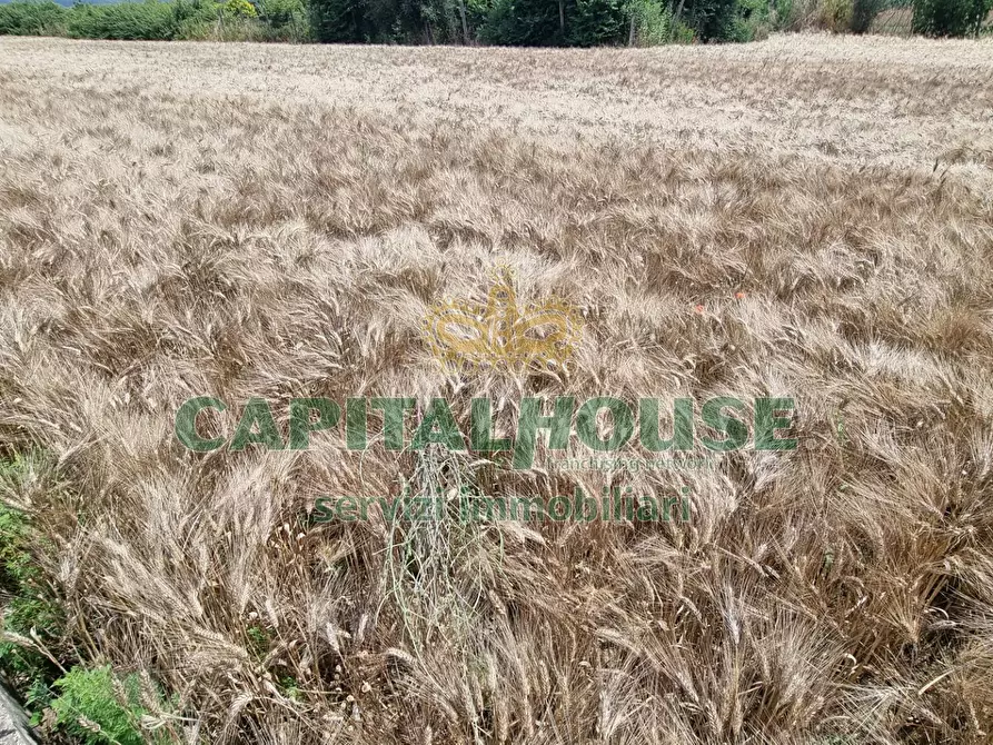Immagine 10 di Terreno agricolo in vendita  a Capodrise