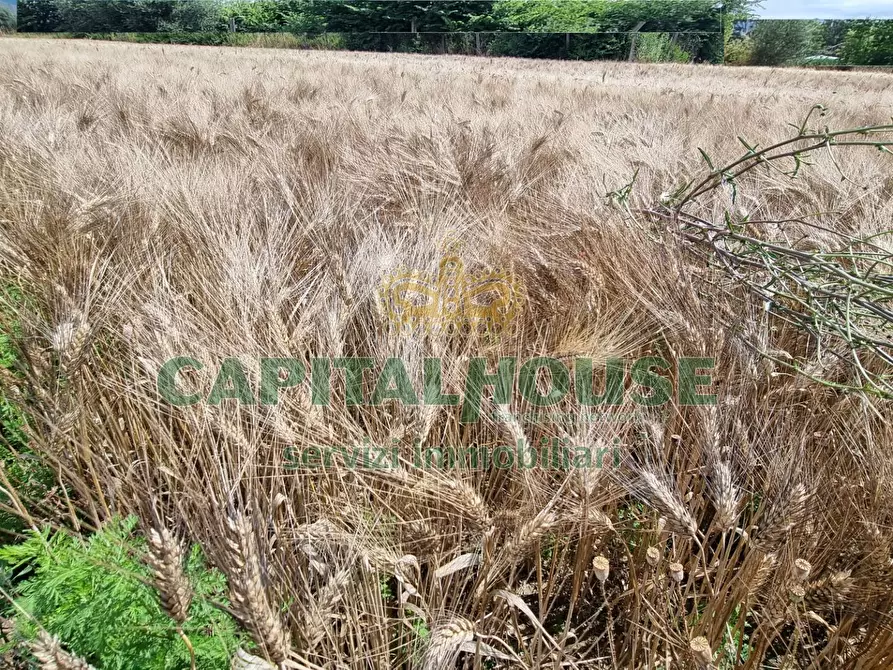 Immagine 12 di Terreno agricolo in vendita  a Capodrise