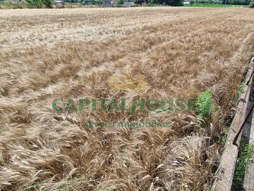 Immagine 13 di Terreno agricolo in vendita  a Capodrise