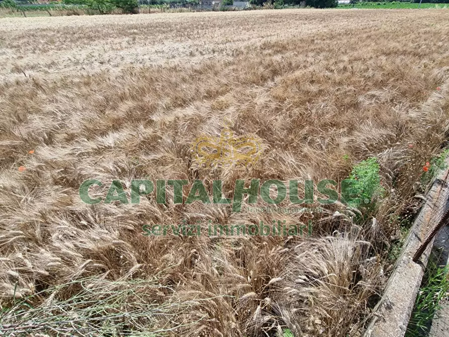 Immagine 14 di Terreno agricolo in vendita  a Capodrise