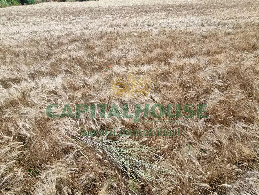 Immagine 15 di Terreno agricolo in vendita  a Capodrise