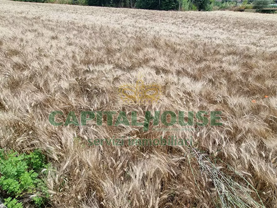 Immagine 16 di Terreno agricolo in vendita  a Capodrise