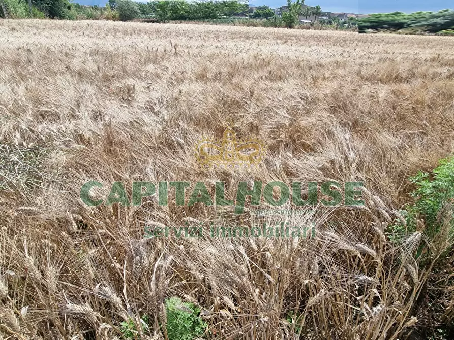 Immagine 17 di Terreno agricolo in vendita  a Capodrise