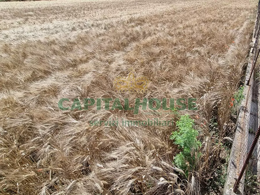 Immagine 18 di Terreno agricolo in vendita  a Capodrise