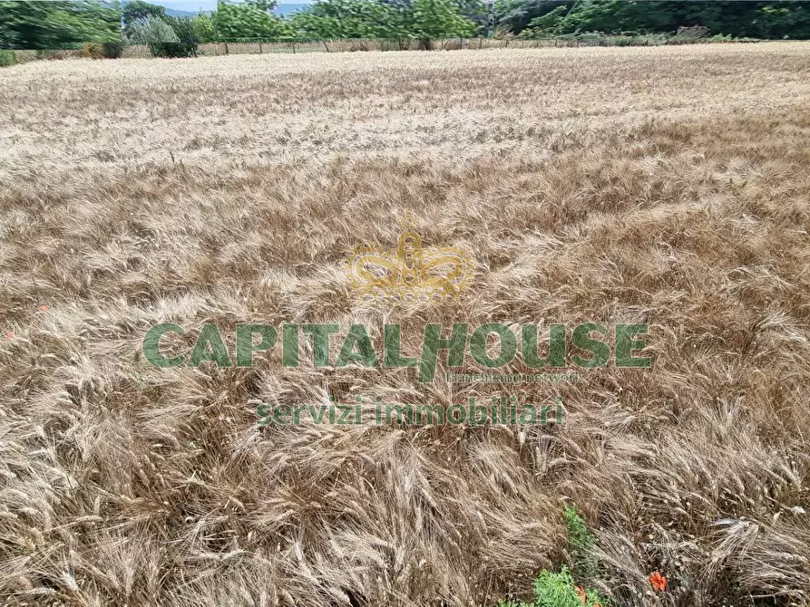 Immagine 19 di Terreno agricolo in vendita  a Capodrise