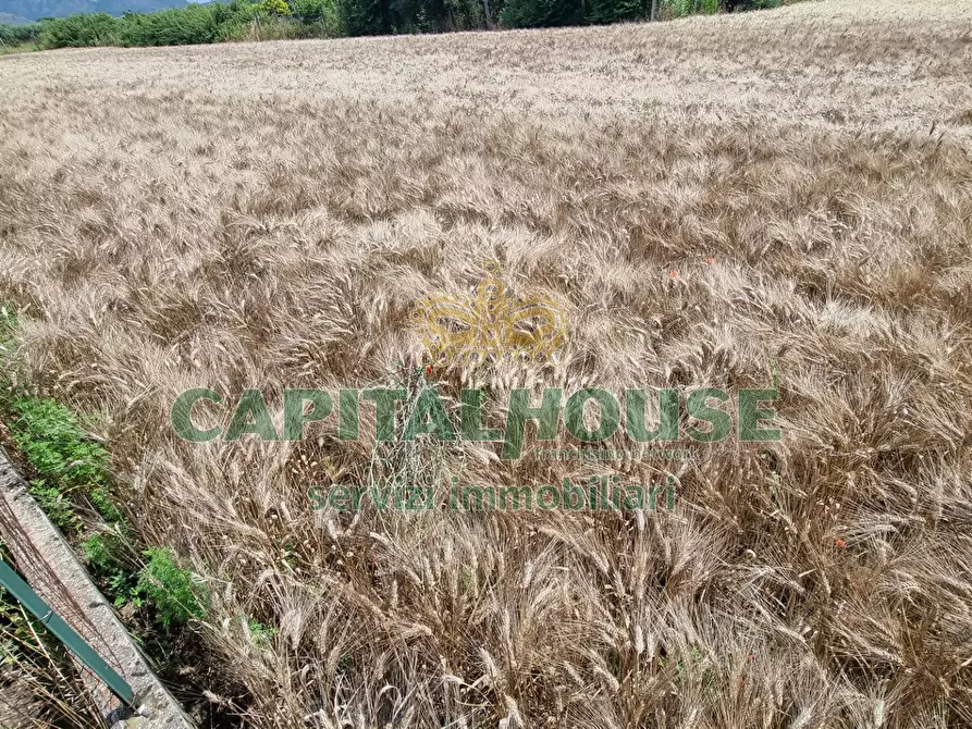 Immagine 20 di Terreno agricolo in vendita  a Capodrise