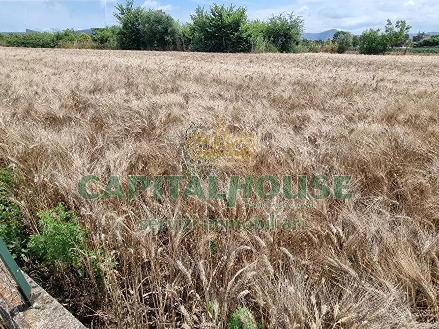 Immagine 22 di Terreno agricolo in vendita  a Capodrise