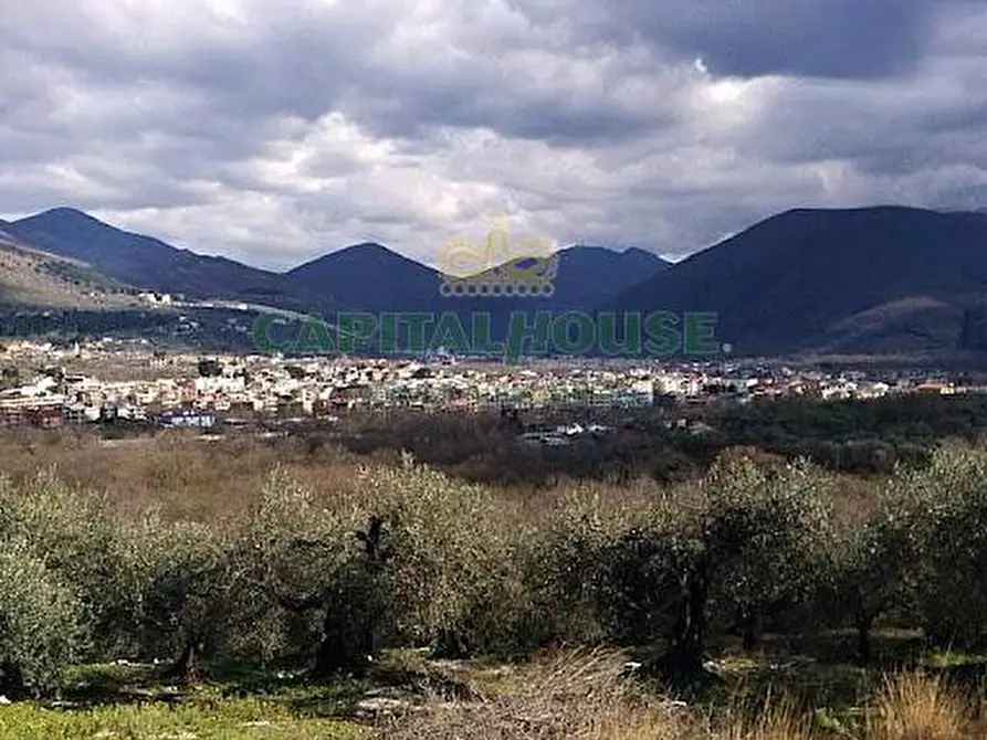 Immagine 1 di Terreno agricolo in vendita  a Sirignano