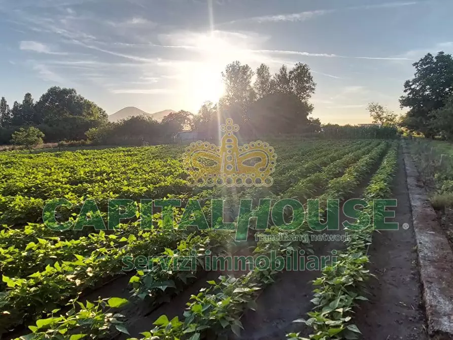 Immagine 2 di Terreno agricolo in vendita  a Cercola