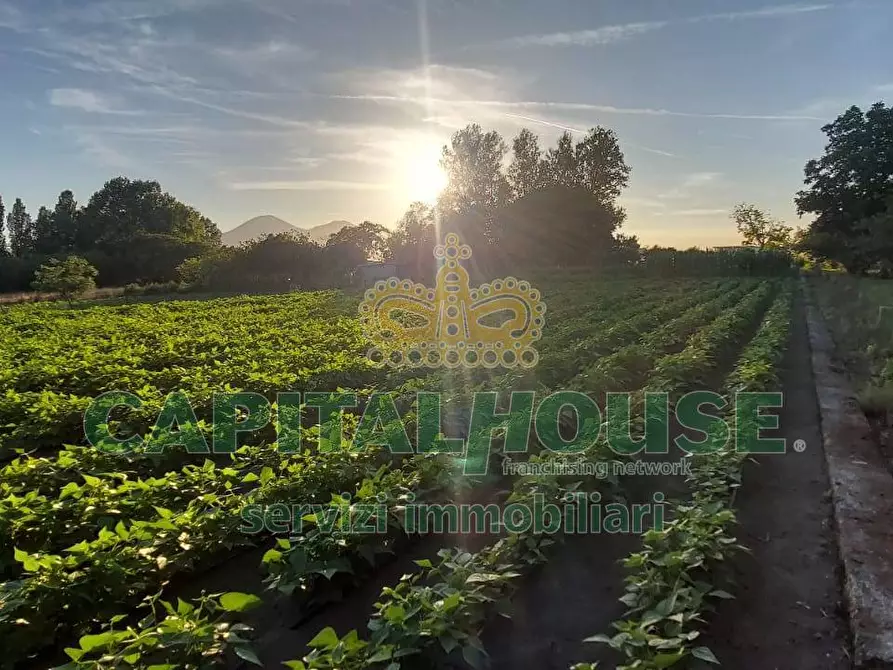 Immagine 4 di Terreno agricolo in vendita  a Cercola
