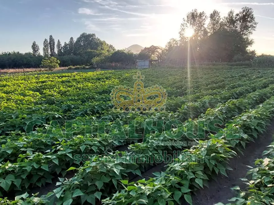 Immagine 5 di Terreno agricolo in vendita  a Cercola