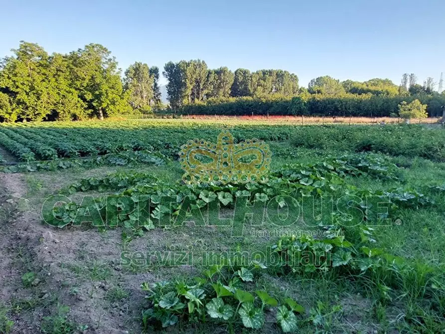 Immagine 7 di Terreno agricolo in vendita  a Cercola