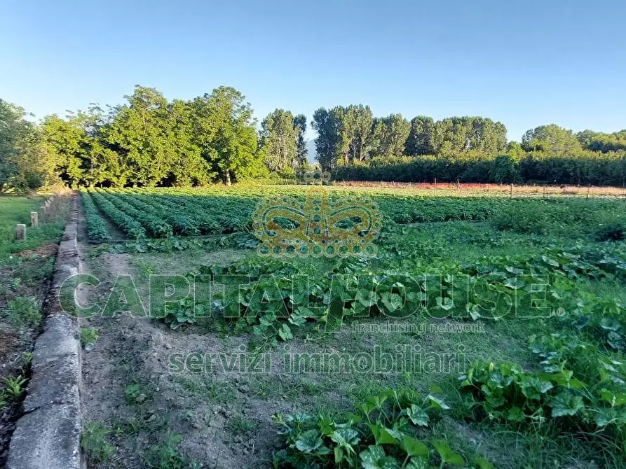 Immagine 8 di Terreno agricolo in vendita  a Cercola
