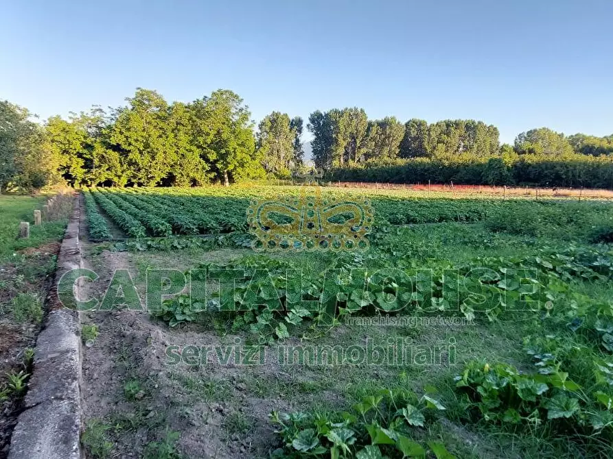 Immagine 9 di Terreno agricolo in vendita  a Cercola