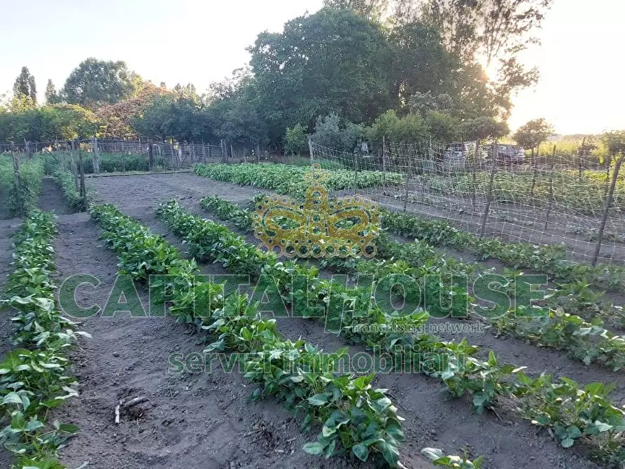 Immagine 10 di Terreno agricolo in vendita  a Cercola