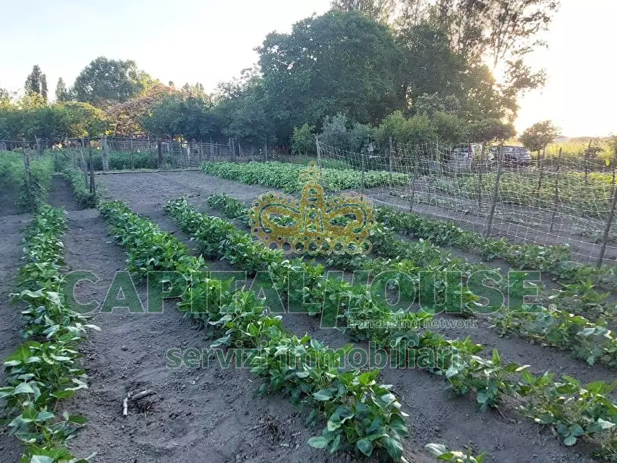 Immagine 11 di Terreno agricolo in vendita  a Cercola