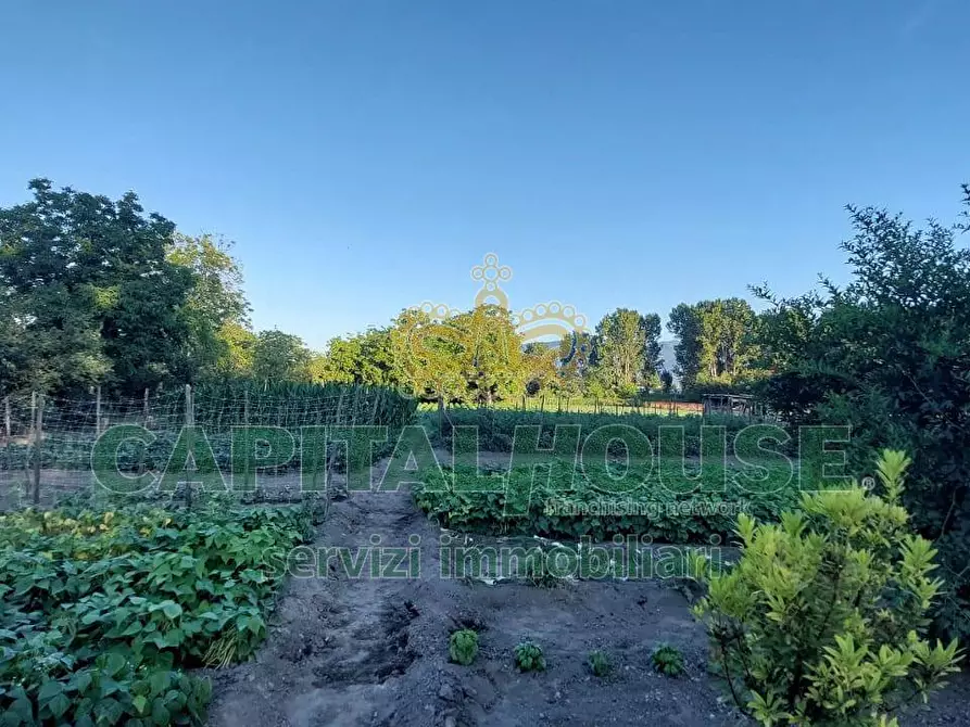 Immagine 12 di Terreno agricolo in vendita  a Cercola