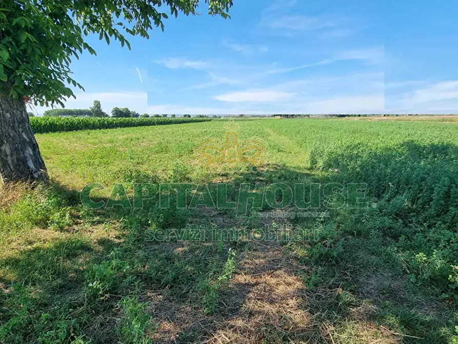 Immagine 3 di Terreno agricolo in vendita  a Marcianise
