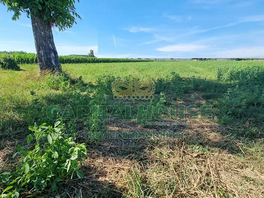 Immagine 4 di Terreno agricolo in vendita  a Marcianise
