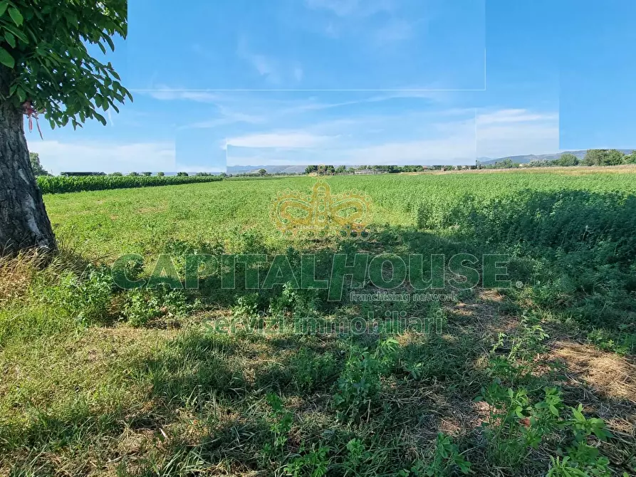 Immagine 5 di Terreno agricolo in vendita  a Marcianise