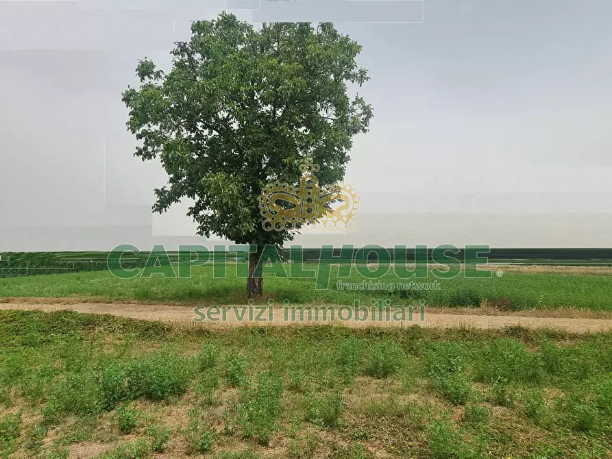 Immagine 6 di Terreno agricolo in vendita  a Marcianise