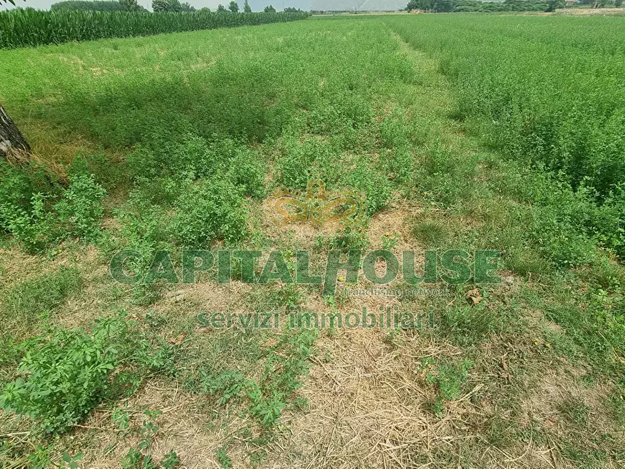 Immagine 7 di Terreno agricolo in vendita  a Marcianise