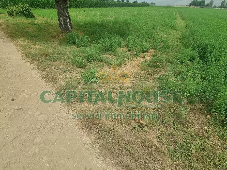 Immagine 9 di Terreno agricolo in vendita  a Marcianise