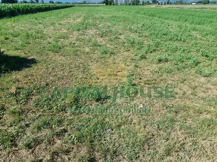 Immagine 10 di Terreno agricolo in vendita  a Marcianise