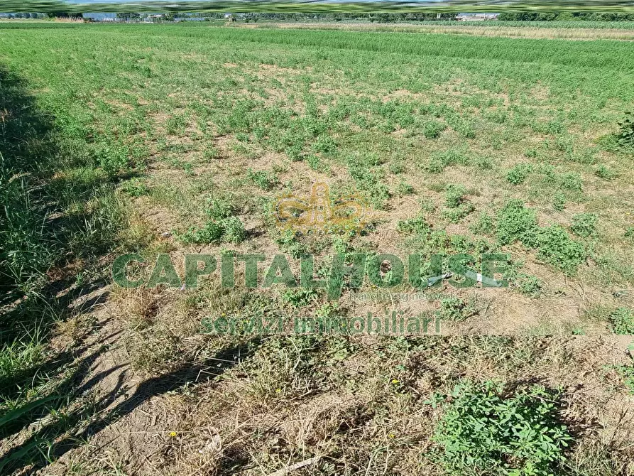 Immagine 11 di Terreno agricolo in vendita  a Marcianise