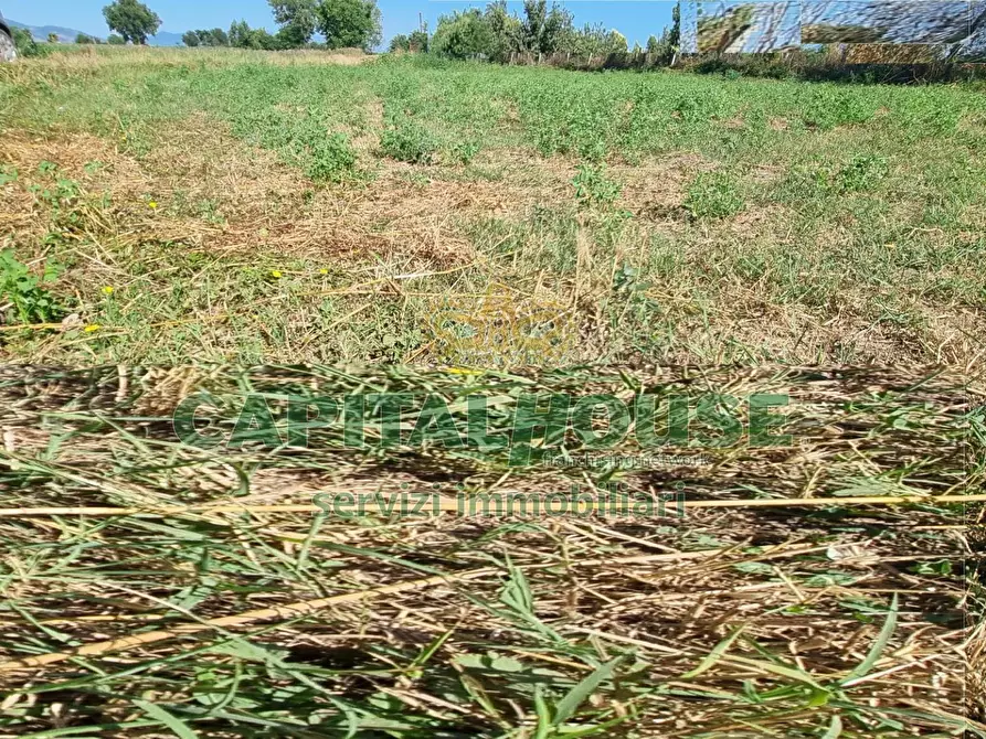 Immagine 14 di Terreno agricolo in vendita  a Marcianise
