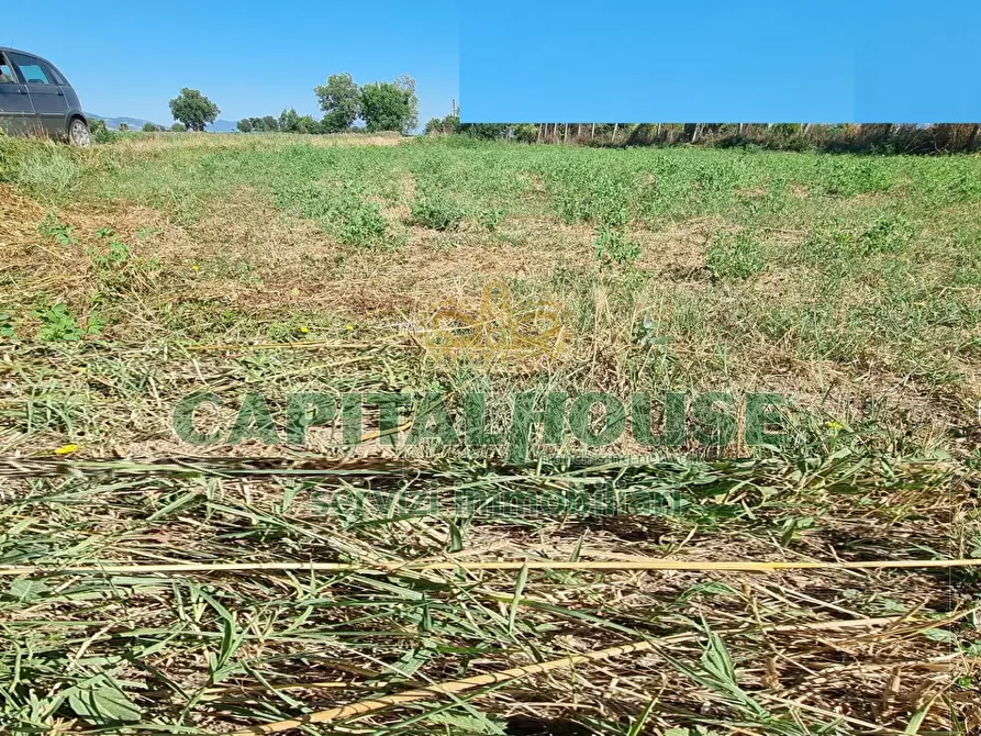 Immagine 15 di Terreno agricolo in vendita  a Marcianise