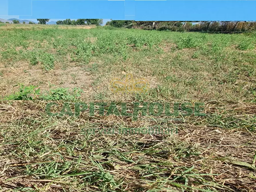Immagine 16 di Terreno agricolo in vendita  a Marcianise