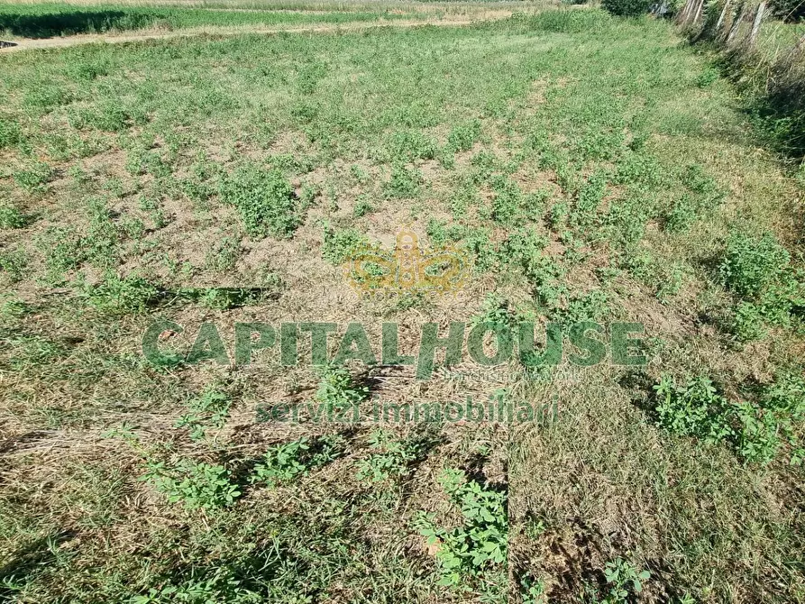 Immagine 17 di Terreno agricolo in vendita  a Marcianise