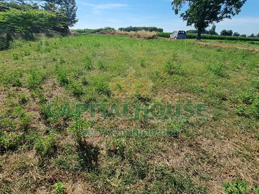Immagine 18 di Terreno agricolo in vendita  a Marcianise
