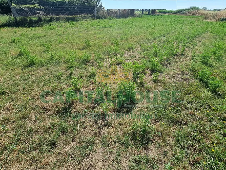 Immagine 19 di Terreno agricolo in vendita  a Marcianise