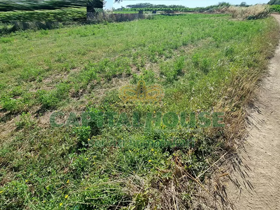 Immagine 20 di Terreno agricolo in vendita  a Marcianise