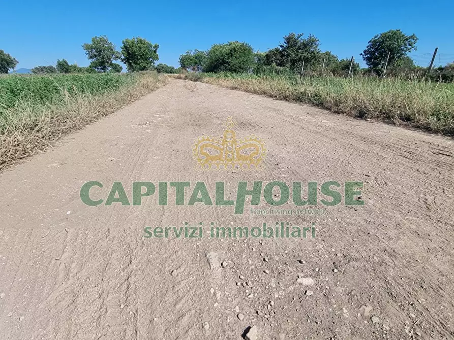 Immagine 21 di Terreno agricolo in vendita  a Marcianise