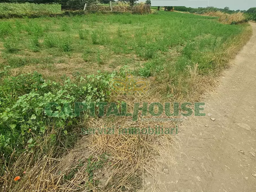 Immagine 22 di Terreno agricolo in vendita  a Marcianise