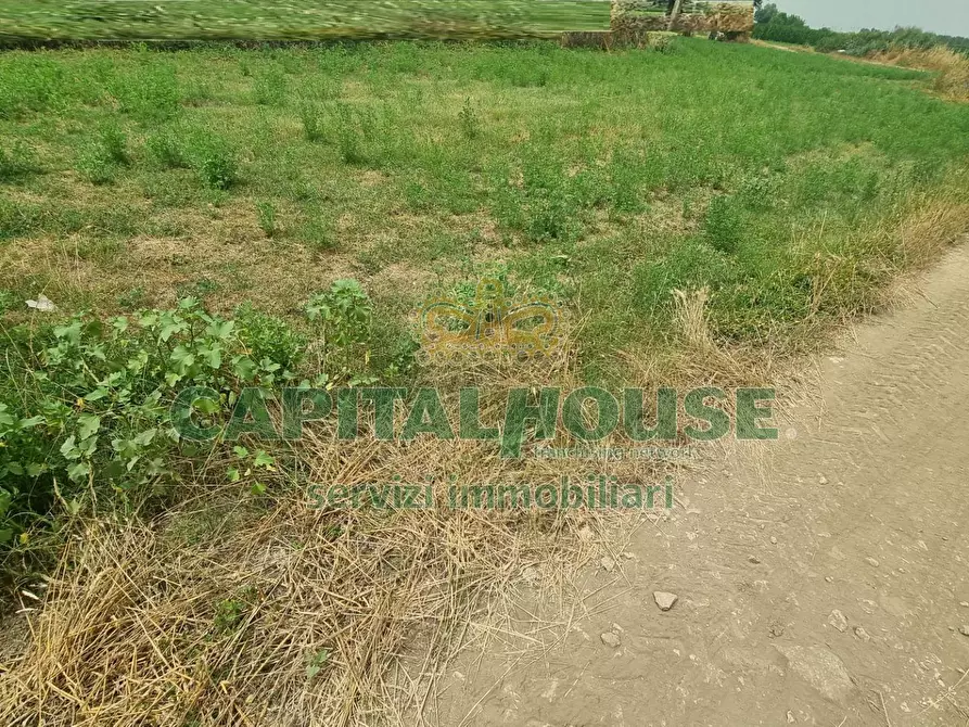 Immagine 23 di Terreno agricolo in vendita  a Marcianise