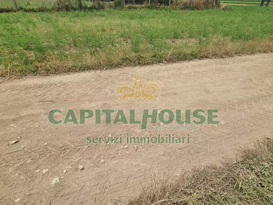 Immagine 24 di Terreno agricolo in vendita  a Marcianise