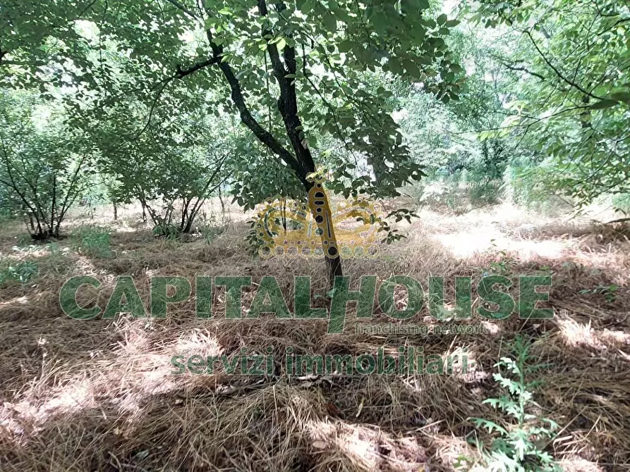 Immagine 3 di Terreno agricolo in affitto  in via ciccarelli a Cercola