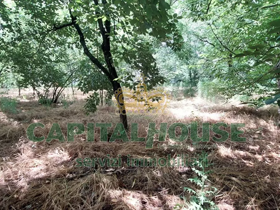 Immagine 4 di Terreno agricolo in affitto  in via ciccarelli a Cercola