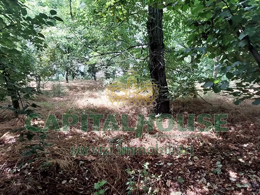 Immagine 5 di Terreno agricolo in affitto  in via ciccarelli a Cercola