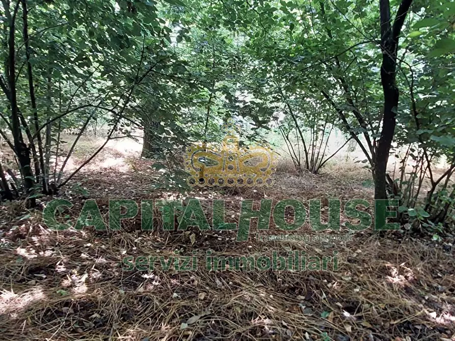 Immagine 6 di Terreno agricolo in affitto  in via ciccarelli a Cercola