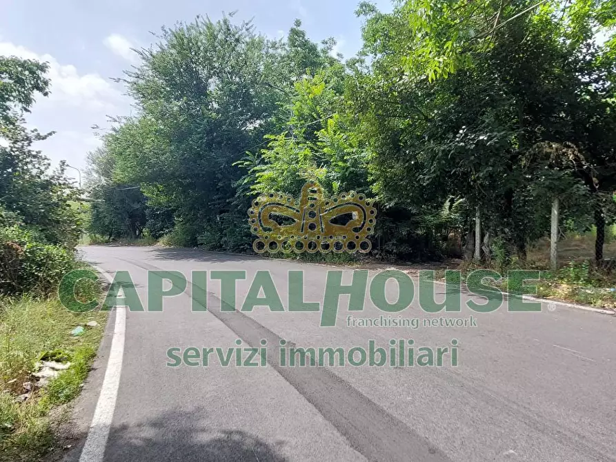 Immagine 1 di Terreno agricolo in affitto  in via ciccarelli a Cercola