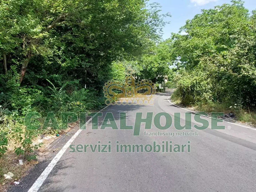 Immagine 9 di Terreno agricolo in affitto  in via ciccarelli a Cercola