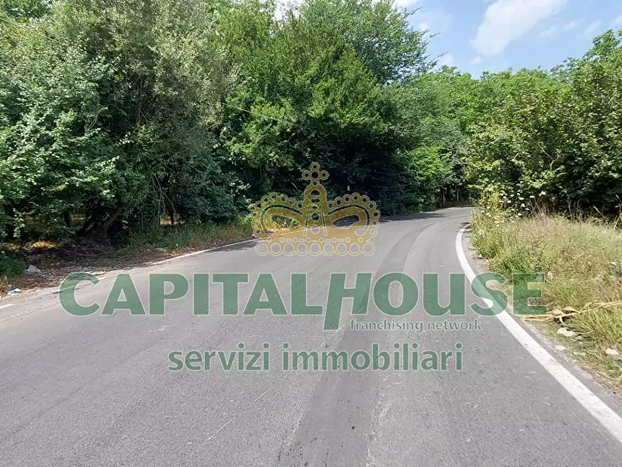 Immagine 2 di Terreno agricolo in affitto  in via ciccarelli a Cercola